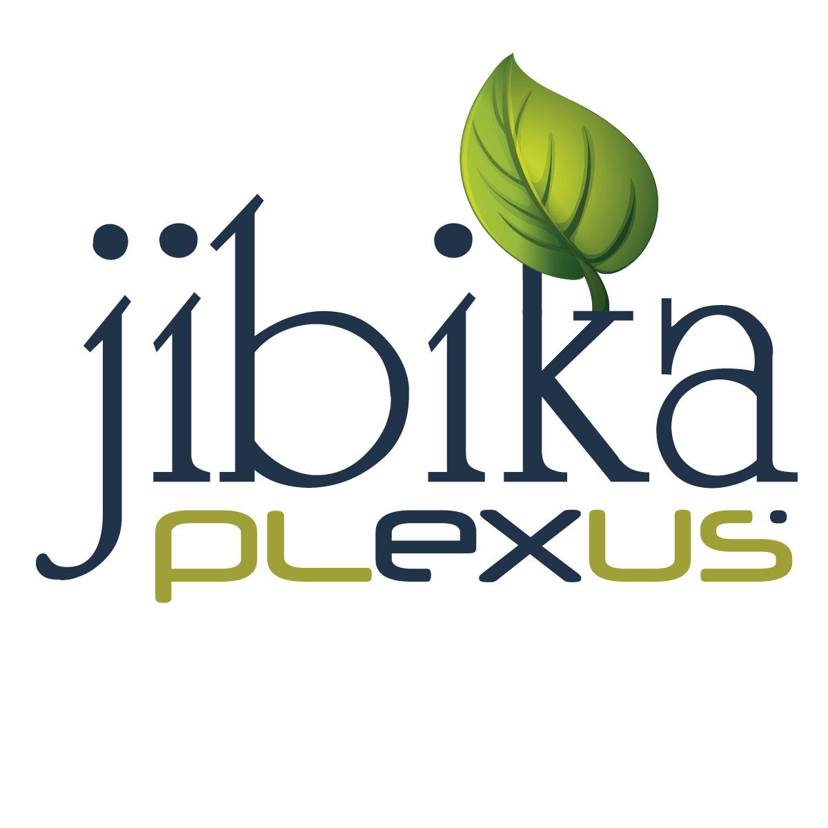 Jibika Plexus is the best payroll software in Bangladesh