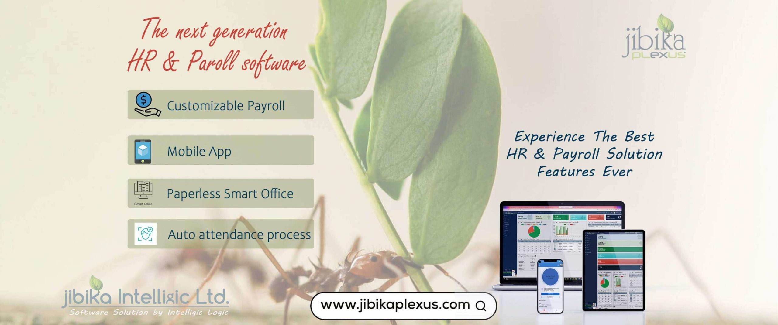 Advantages and disadvantages of Payroll Software