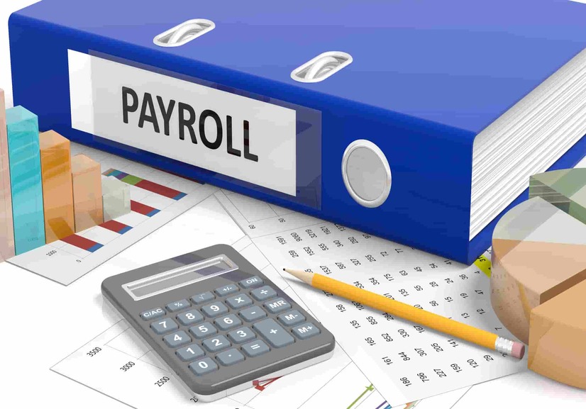 Payroll Software's best features and solutions